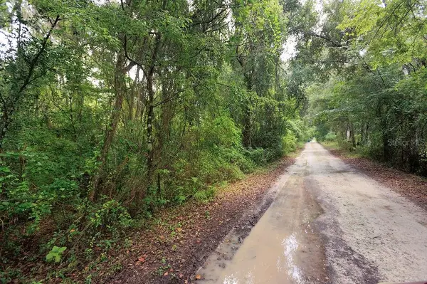 0 LUCILLES SHADY LN, Nobleton, FL 34661