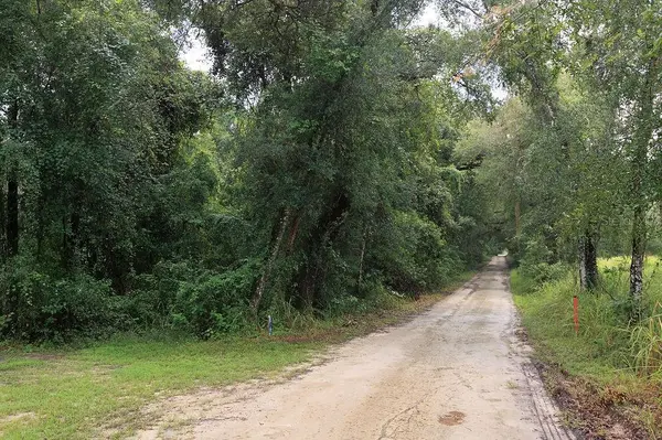 0 LUCILLES SHADY LN, Nobleton, FL 34661