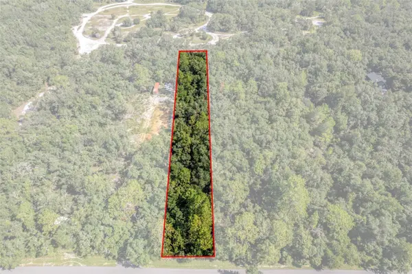 33441 TOMBSTONE ST, Webster, FL 33597