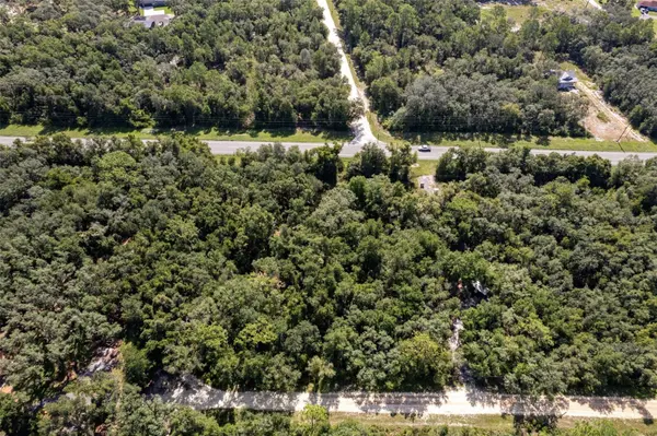 0 KNOXVILLE DR, Webster, FL 33597