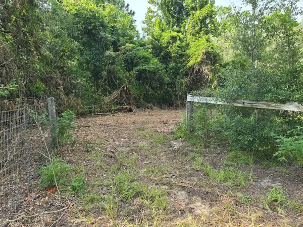 650 NE 138 AVE, Williston, FL 32696