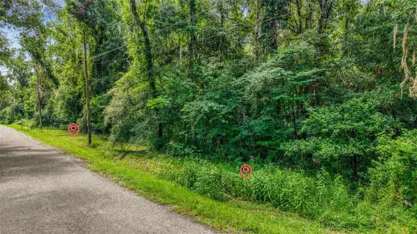 23186 FITZHUGH AVE, Brooksville, FL 34601