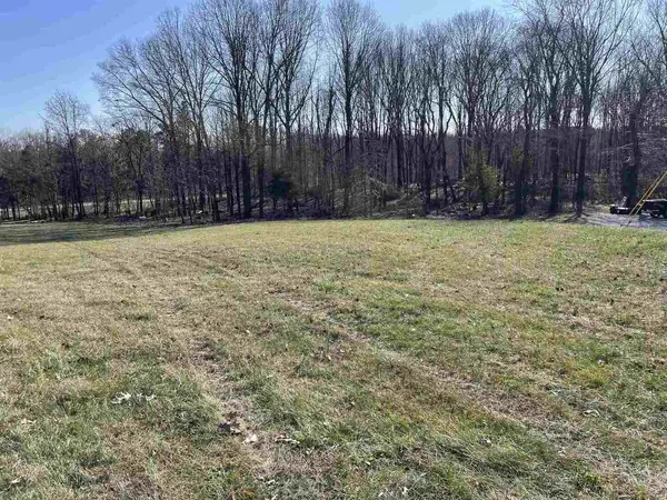 TBD Tulip LN, Vienna, IL 62960