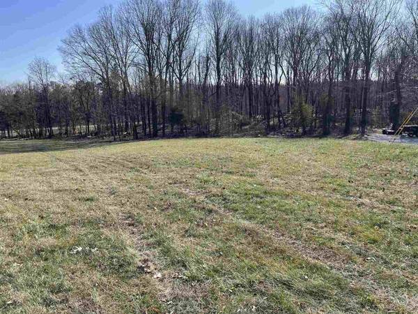 TBD Tulip LN, Vienna, IL 62960
