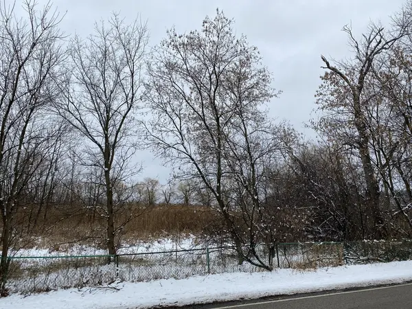 95 W South DR, Lakemoor, IL 60051