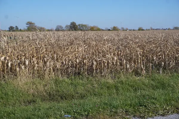 Sec7 Twp26N R10E RD, Gilman, IL 60938