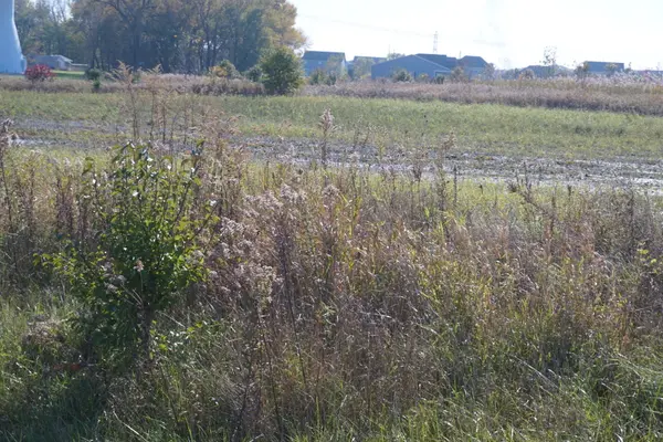 Lot 5 Us Rte 6 RD, Channahon, IL 60410