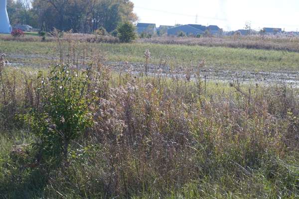 Lot 5 Us Rte 6 RD, Channahon, IL 60410