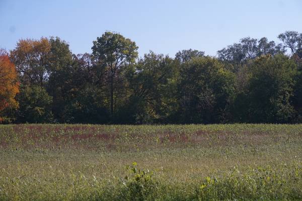 Sec8 W Eames ST, Channahon, IL 60410