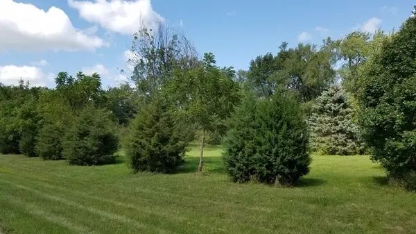 5548 W Heatherbrook TRL, Monee, IL 60449