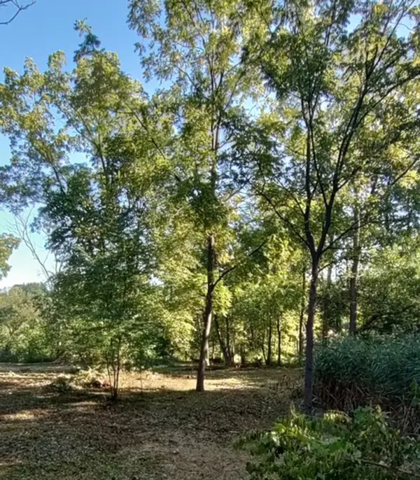 11 Rohrssen Lot 1 RD, Elgin, IL 60120