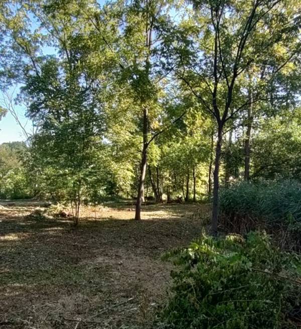 11 Rohrssen Lot 1 RD, Elgin, IL 60120