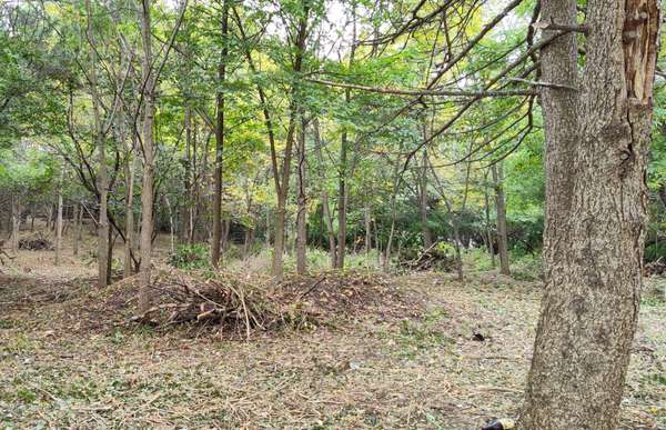 11 Rohrssen Lot 4 RD, Elgin, IL 60120