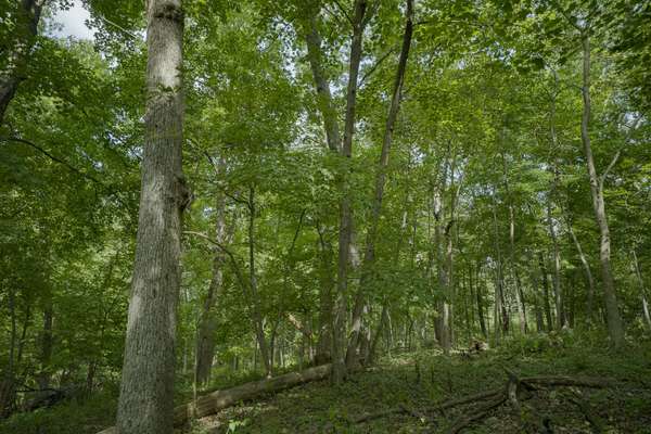 4820 Kopper Pond RD, Hanover, IL 61041