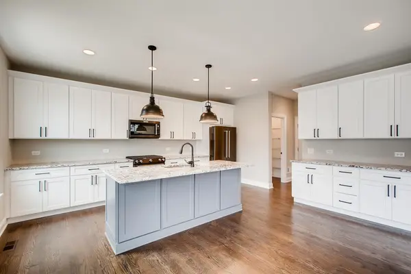 384 Woodland Chase LN, Vernon Hills, IL 60061