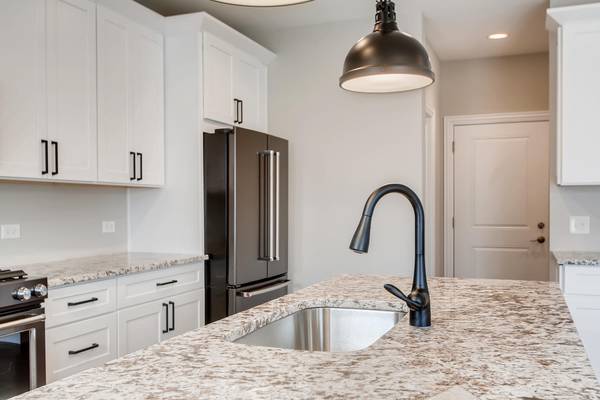 384 Woodland Chase LN, Vernon Hills, IL 60061