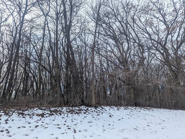1711 Cedar LN, Spring Grove, IL 60081