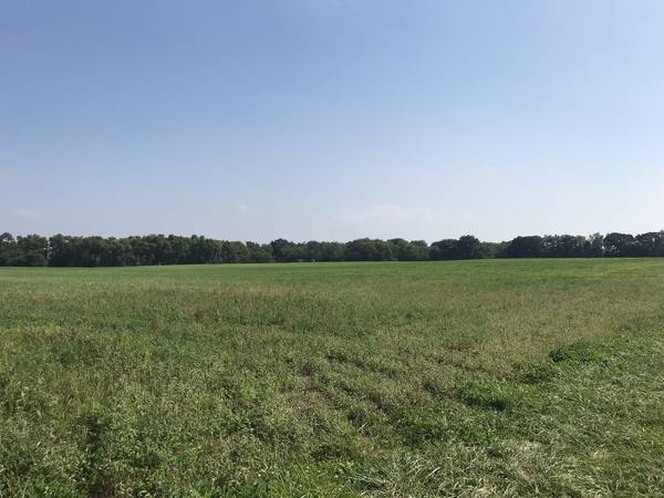 42909 N Deep Lake RD, Antioch, IL 60002