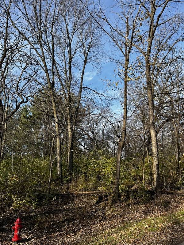107 Maple LN, Dixon, IL 61021