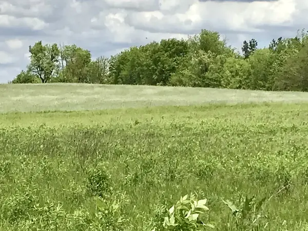 0 Lot 2 Ratfield RD, Marengo, IL 60152