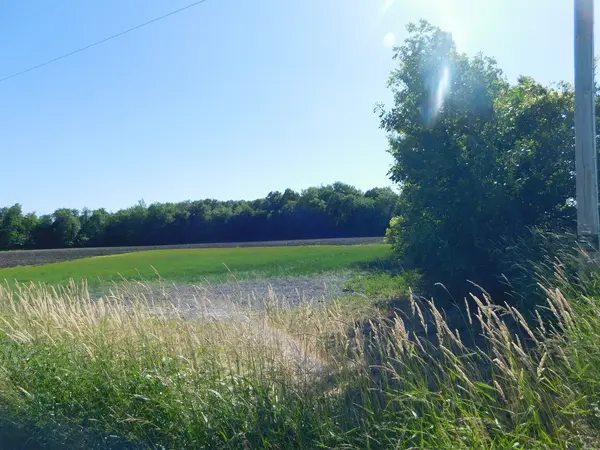 4541 E 14th RD, Earlville, IL 60518