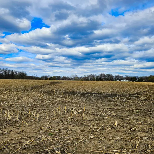 26155 W IL Route 120, Grayslake, IL 60030