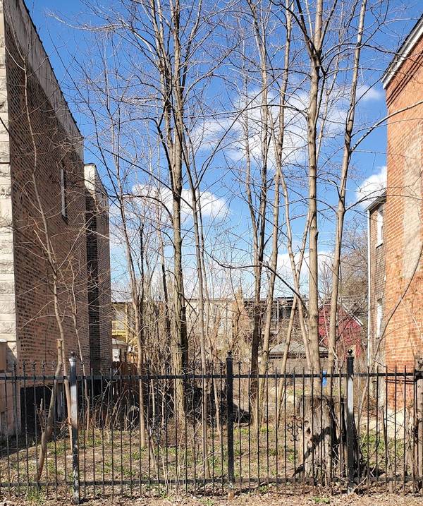 1922 S Christiana AVE, Chicago, IL 60623