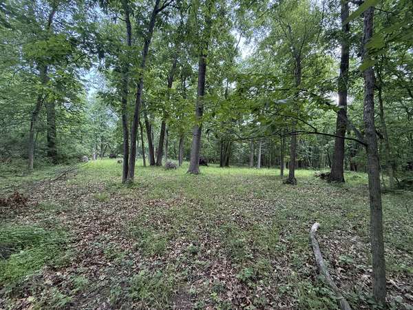 Lot 235 Lake Thunderbird DR, Tiskilwa, IL 61368