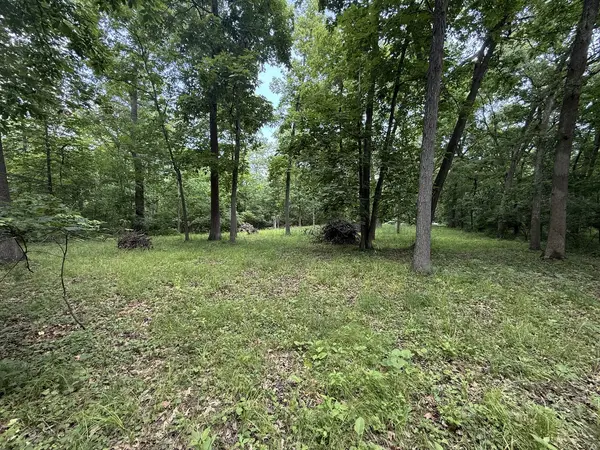 Lot 235 Lake Thunderbird DR, Tiskilwa, IL 61368