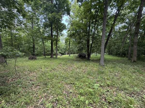 Lot 235 Lake Thunderbird DR, Tiskilwa, IL 61368