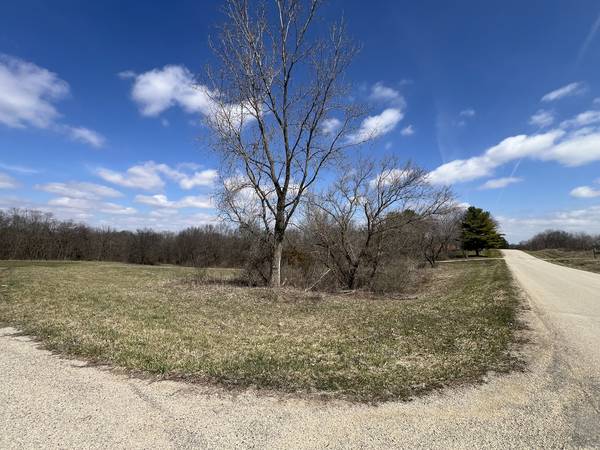 226 Fox CT, Apple River, IL 61001