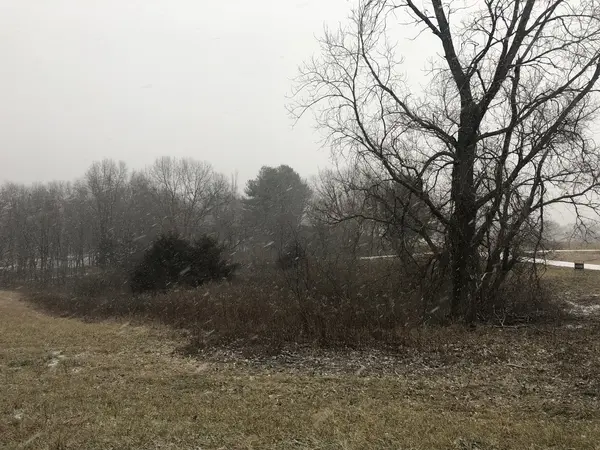 226 Fox CT, Apple River, IL 61001