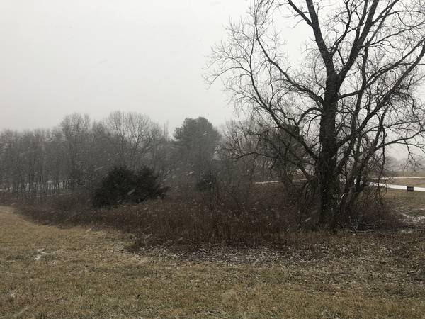 226 Fox CT, Apple River, IL 61001