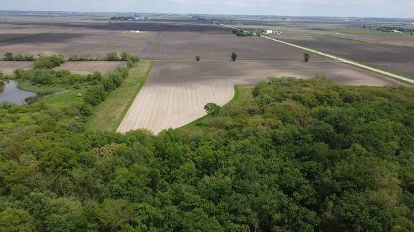 Lot D Highway 136 HWY, Fisher, IL 61843