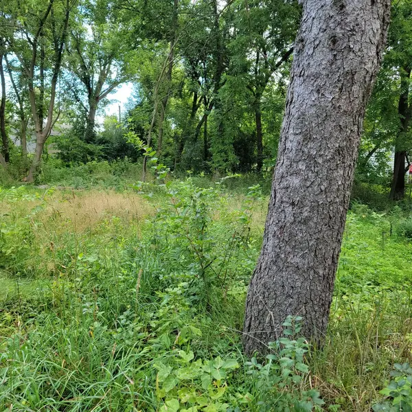 25578 W High ST W, Wauconda, IL 60084
