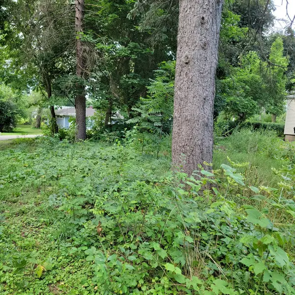 25578 W High ST W, Wauconda, IL 60084