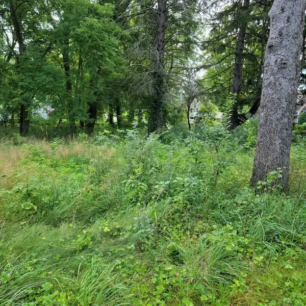 25586 W High ST W, Wauconda, IL 60084