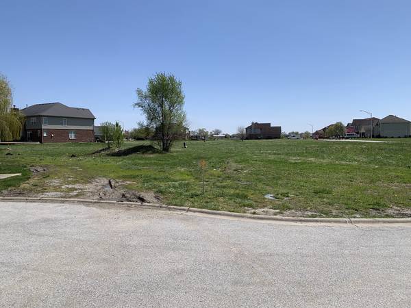 19641 Christina PL, Lynwood, IL 60411