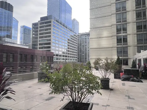 440 N Wabash AVE #3809, Chicago, IL 60611