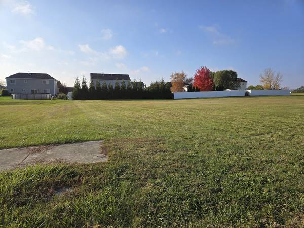 496 Shamrock LN, Manteno, IL 60950