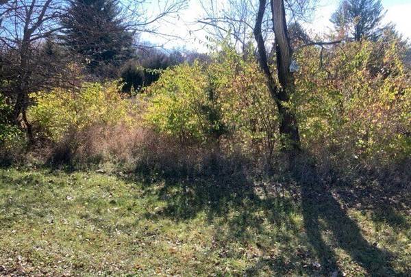 602 Cottonwood CT, Dixon, IL 61021