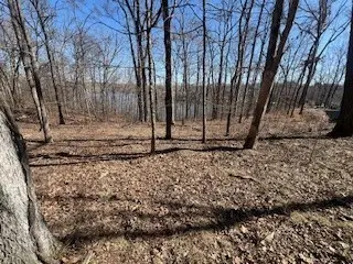 Lot 244 Parrish Ridge LN, Goreville, IL 62939