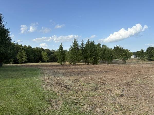 000 Lavern RD, Desoto, IL 62924