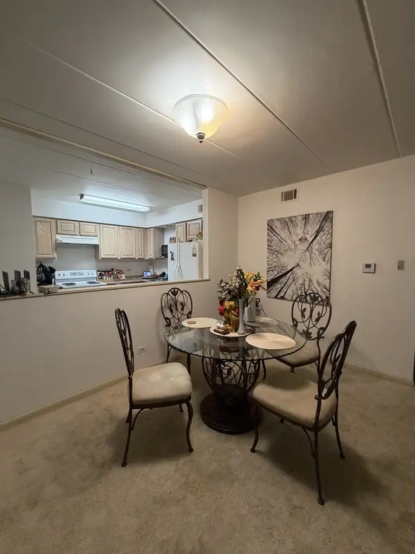 10002 S Pulaski RD #207, Oak Lawn, IL 60453
