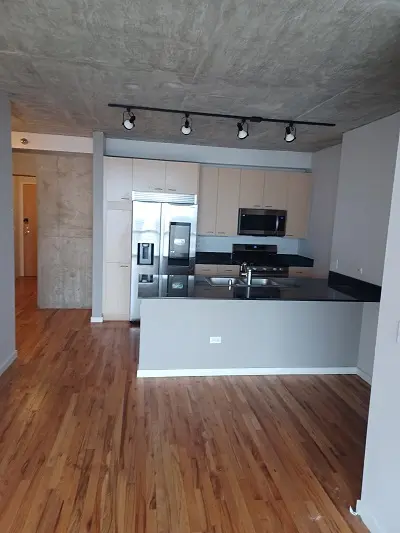 1845 S Michigan AVE #1808, Chicago, IL 60616