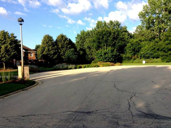 15450 W Purley CT, Homer Glen, IL 60491