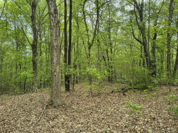 1875 Pleasant Woods CIR, Carbondale, IL 62902
