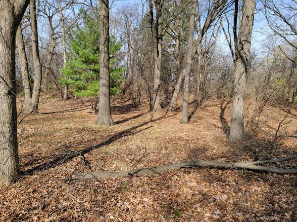 0000 Newbold RD, Cary, IL 60013