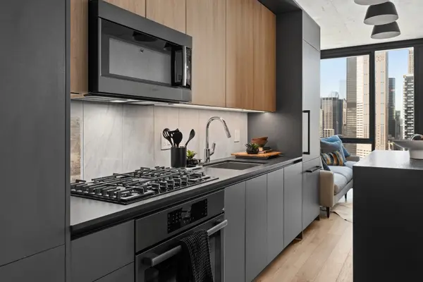 234 W Polk ST #3206, Chicago, IL 60607