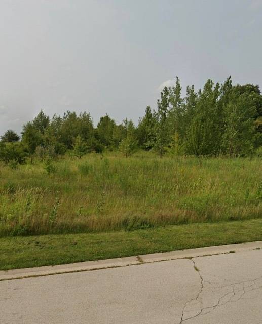 4541 Waa-Kee-Sha DR, Oswego, IL 60543